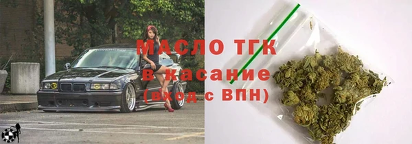 твердый Инта