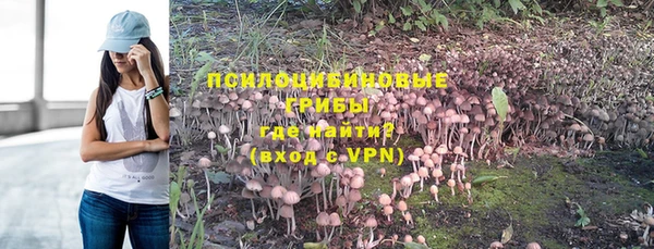 прущие крисы Иннополис