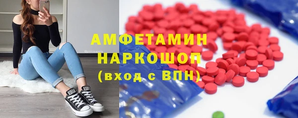 твердый Инта