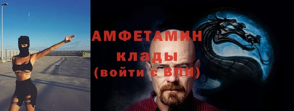 твердый Инта