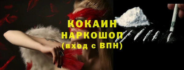 молекула духа Инсар