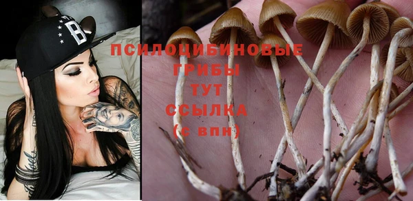 прущие крисы Иннополис